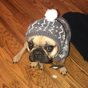 Meet your Posher, Jess